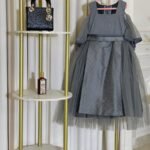 فستان الأميرة الرمادي